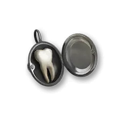 material Trembling Tooth