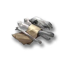 material Esoteric Bones