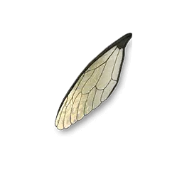 material Cicada Wings