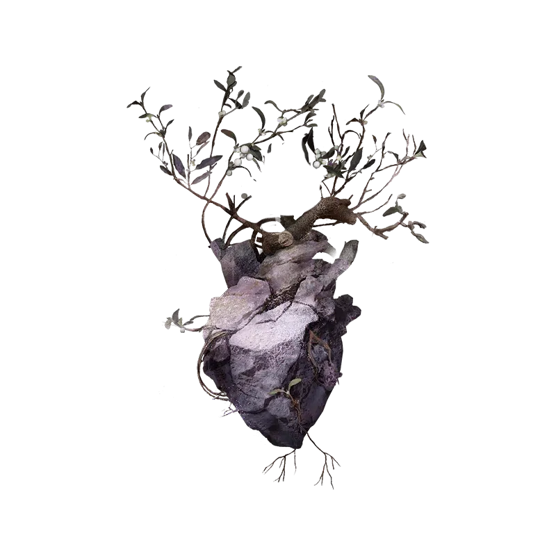 The Verdance Among Stones