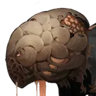 Preying Statue head icon