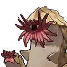 Shamirs head icon