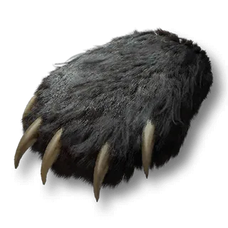 artefact bear-paw