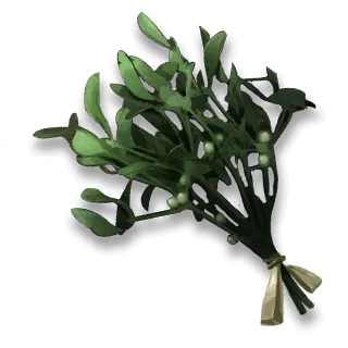 artefact mistletoe-twigs