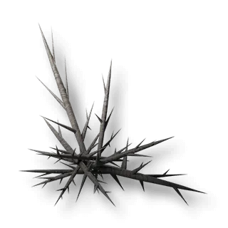 artefact timid-caltrop