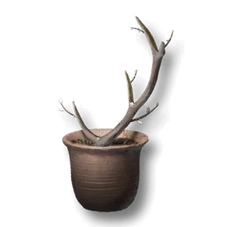 artefact antler-sapling