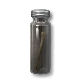 artefact narwhal-bone-fragment