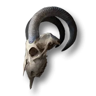 artefact goat-skull