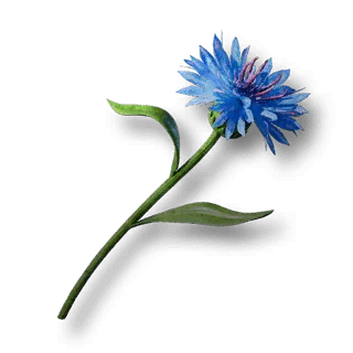 artefact blue-kornblume