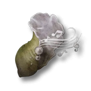 artefact little-conch