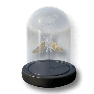 artefact golden-clearmoth-specimen