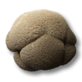 artefact gastric-pouch