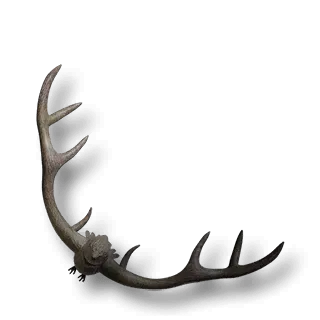 artefact aggressive-antlers