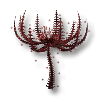 artefact fanatical