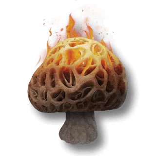 artefact the-incinerator