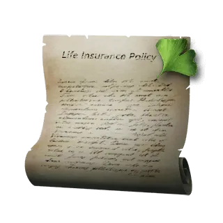 artefact life-insurance-policy