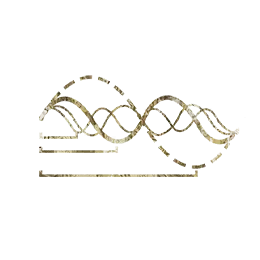 Symphony of Synergy icon