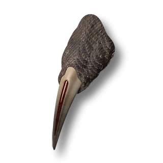 artefact wrym-toe