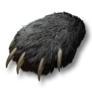 artefact bear-paw