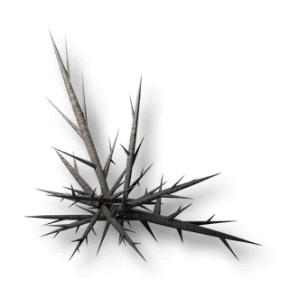 artefact timid-caltrop