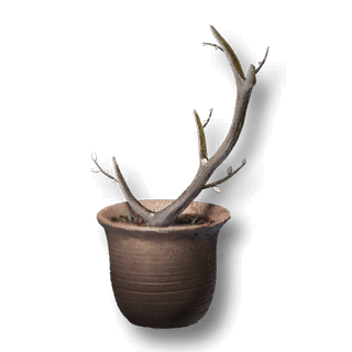 artefact antler-sapling