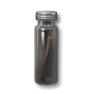 artefact narwhal-bone-fragment