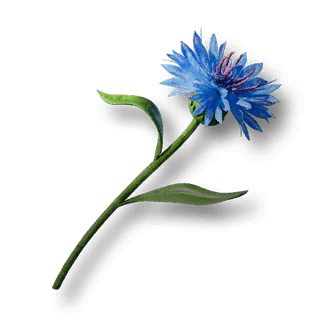artefact blue-kornblume