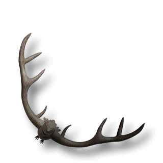 artefact aggressive-antlers