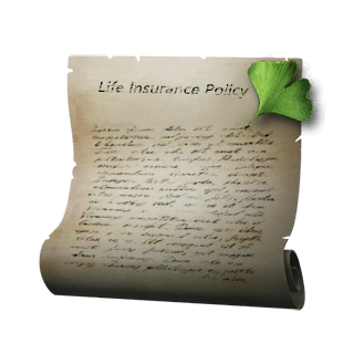 artefact life-insurance-policy