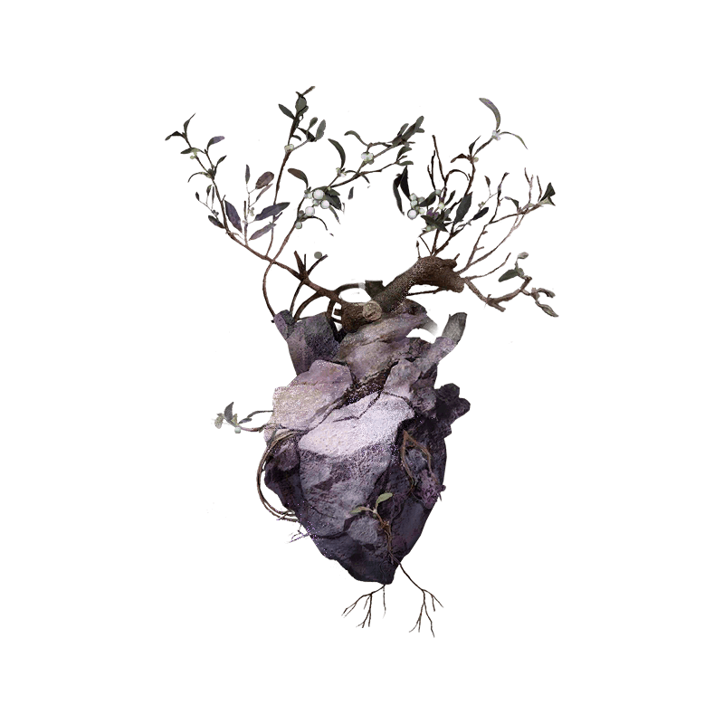 The Verdance Among Stones