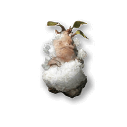 material Salted Mandrake