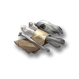 material Esoteric Bones